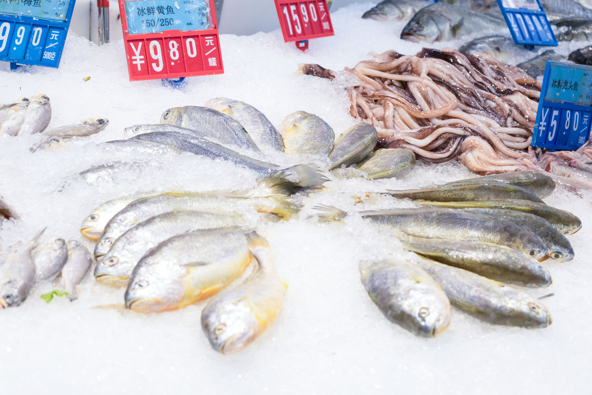 理性看待網(wǎng)紅趕海，注意水產(chǎn)品安全問(wèn)題！