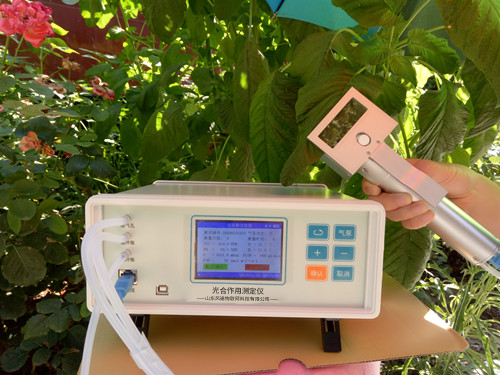 植物氣孔針有何應用？