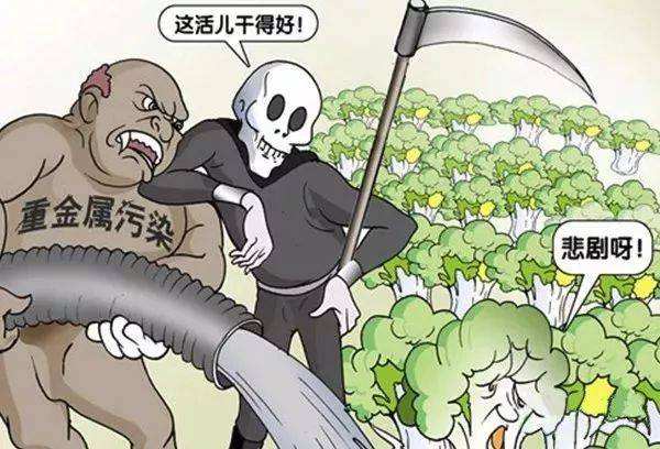 糧食安全如何得到保障？